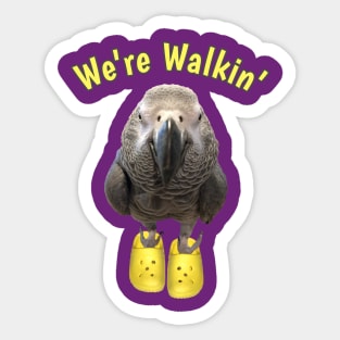 African Grey Parrot Walking Exercise Sticker